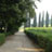 LOVELY LONG WALKS IN THE VILLA GIONA VINEYARDS